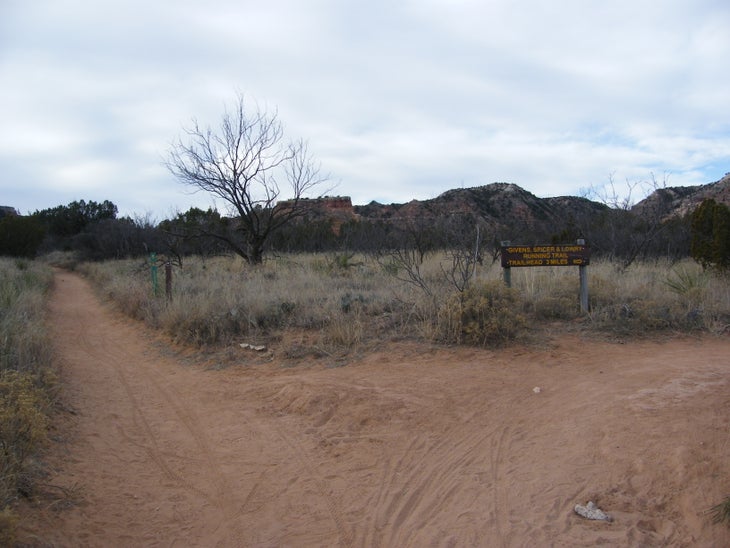 Trail intersection and signage None