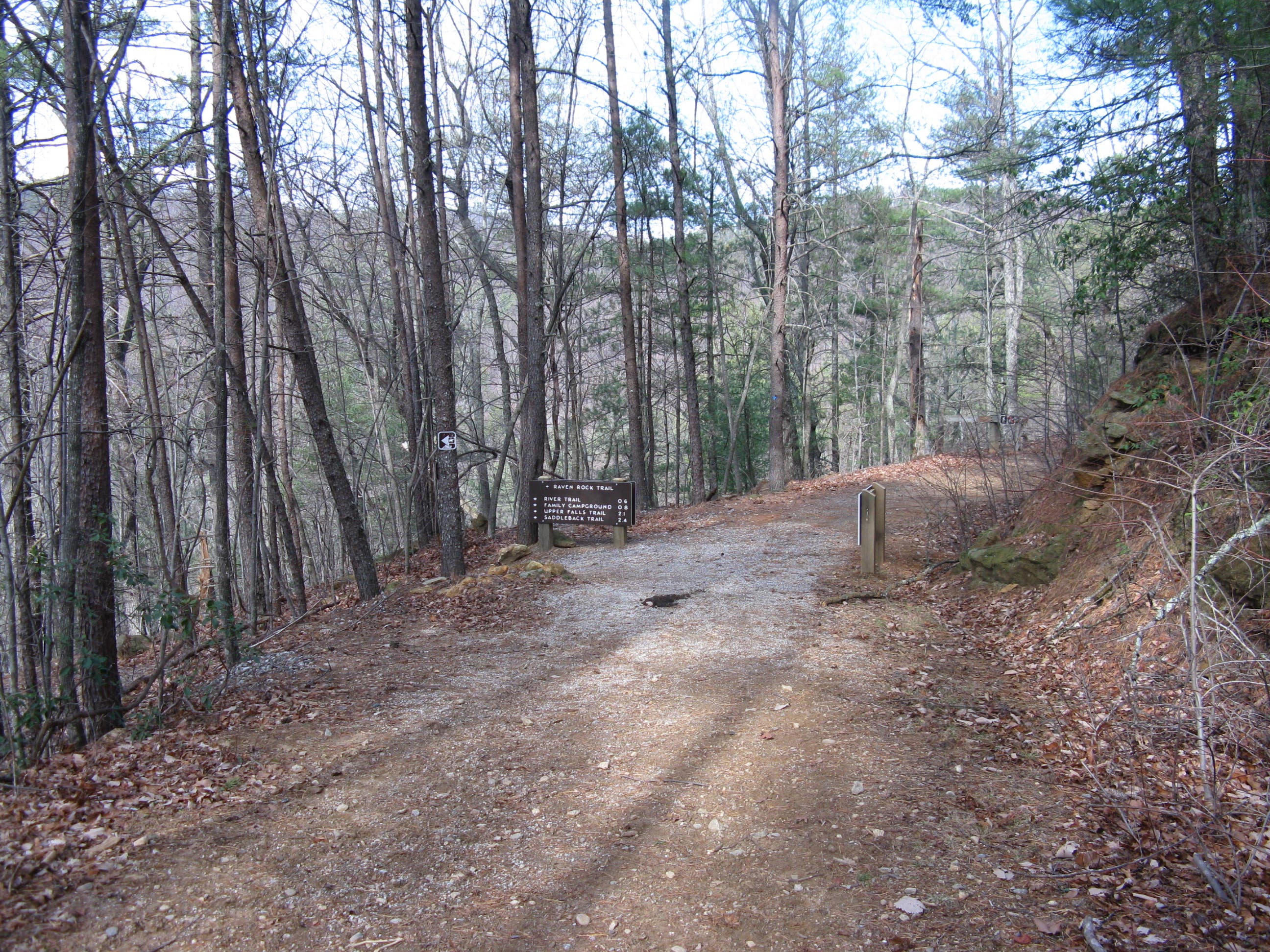 Trail Intersection None