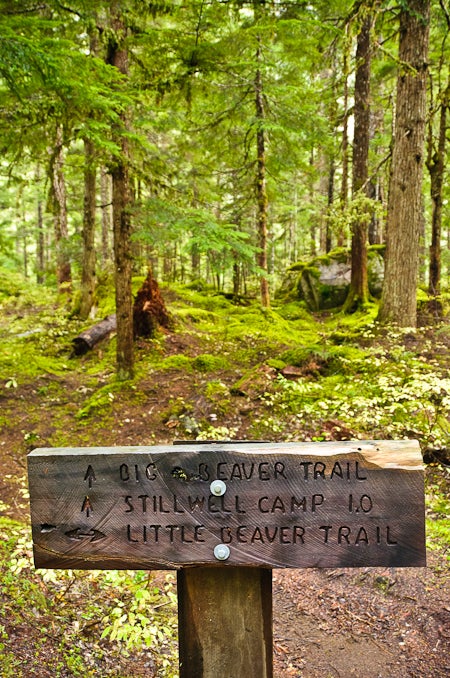 Trail Junction None