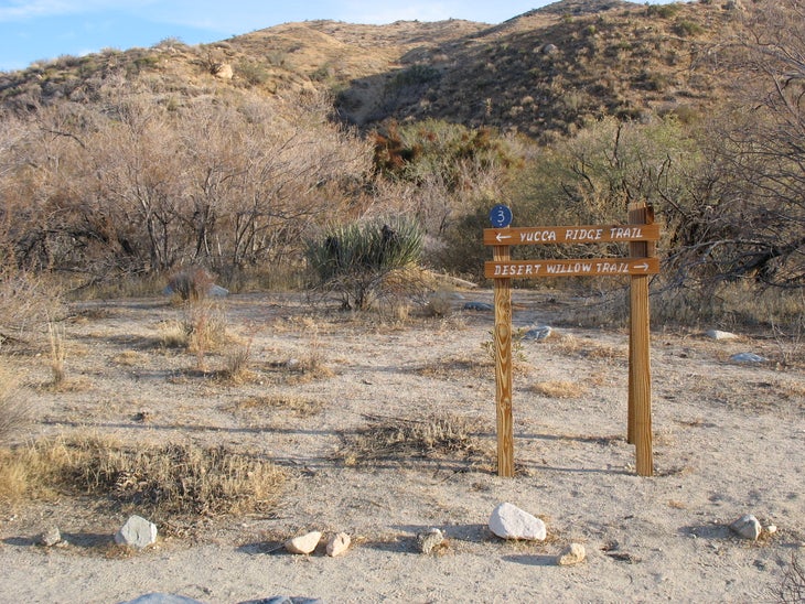 Trail Junction None