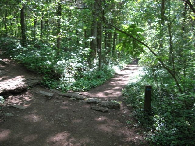Trail junction None