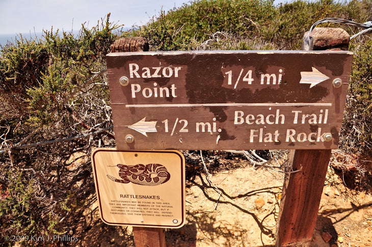 Trail Junction None