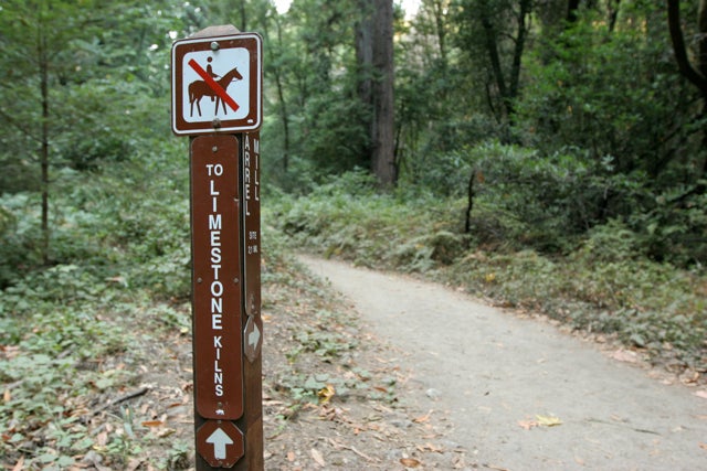 Trail Junction None