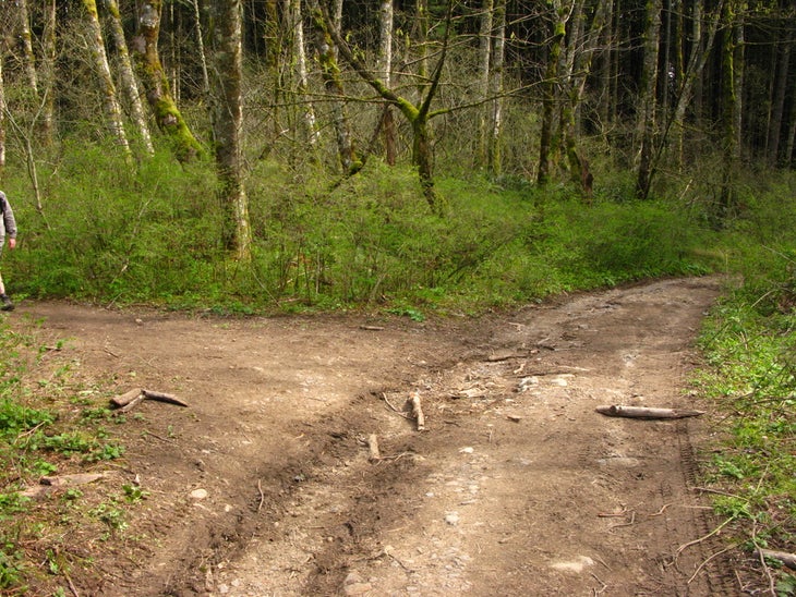 Trail Junction None