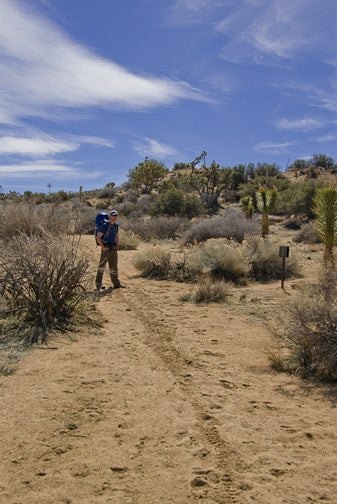 Trail Junction None