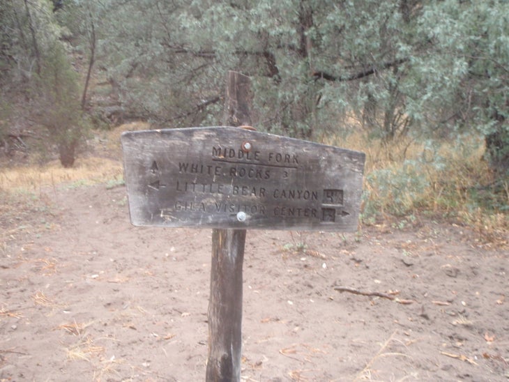Trail Junction None