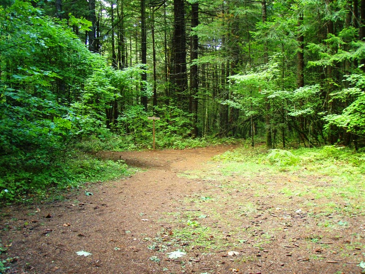 Trail Junction None