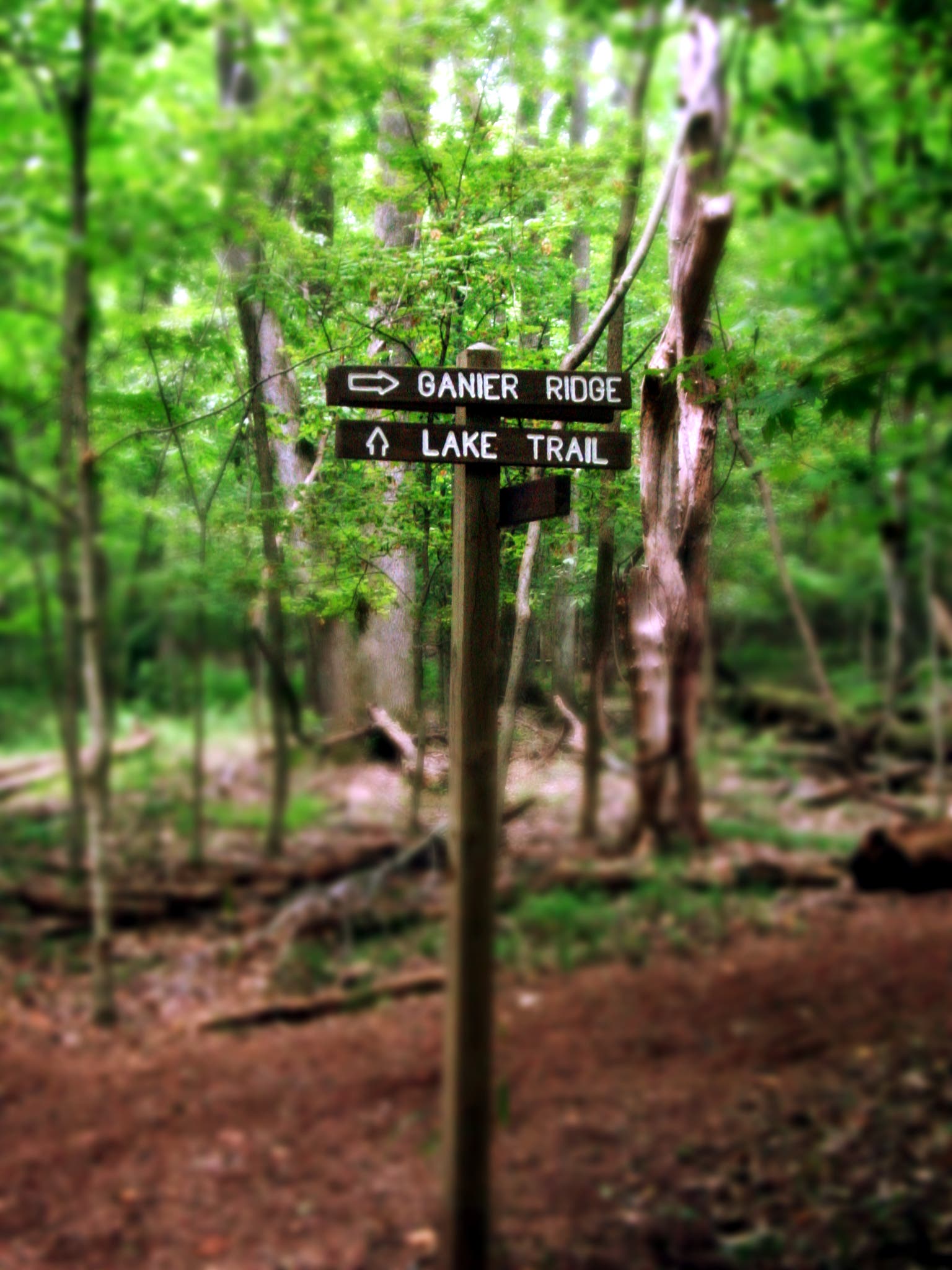 Trail Junction of Ganier Ridge, Lake Trail, and Royal Arch Trail. Trail sign marking the junction of Ganier Ridge, Lake Trail, and the Royal Arch Trail.