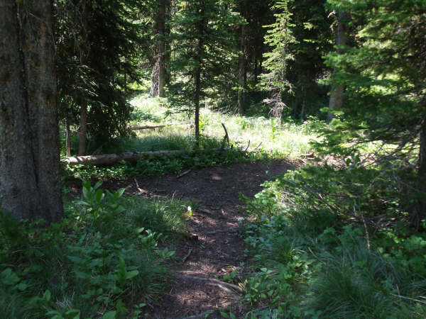 Trail Junction None