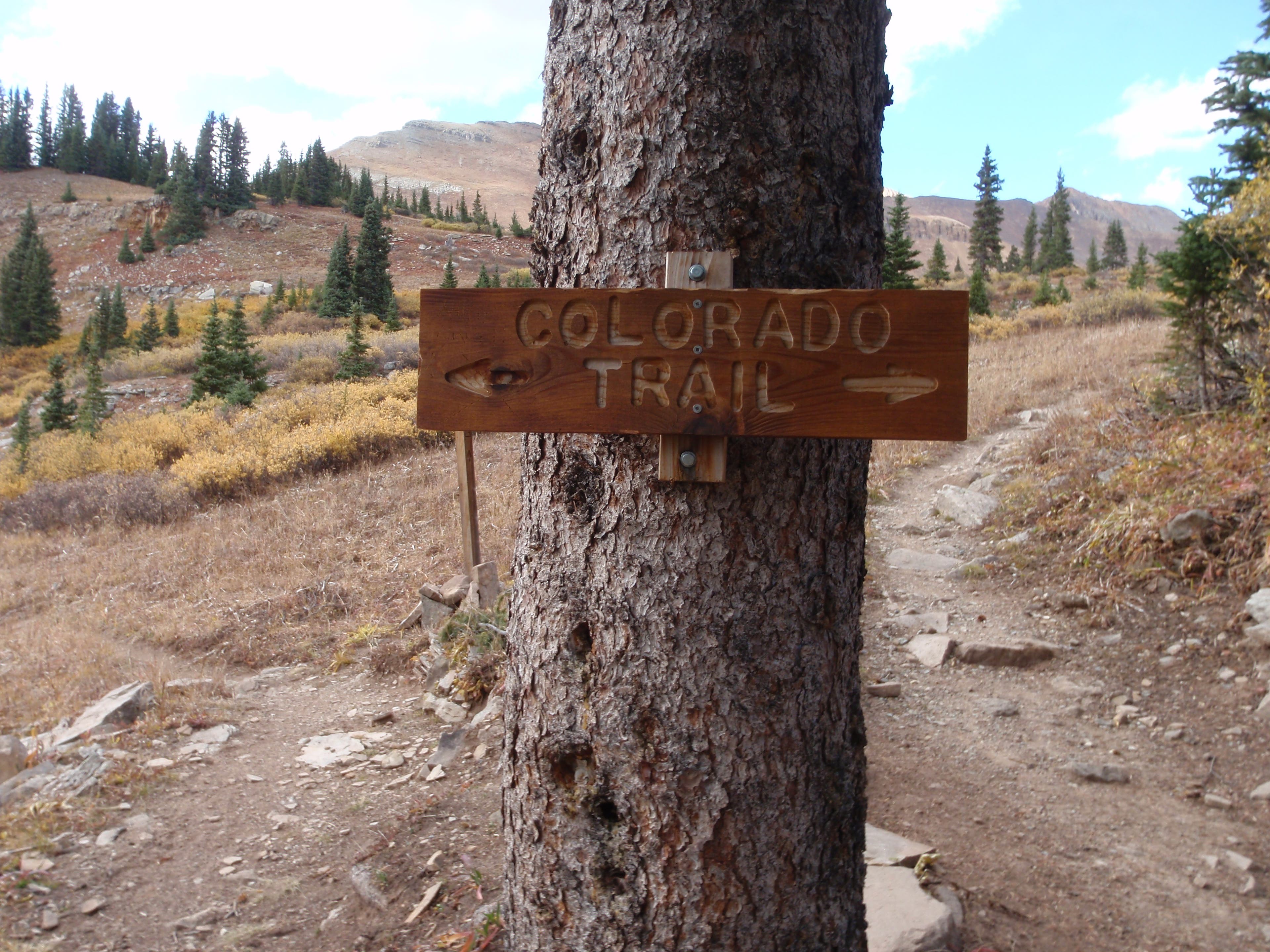 A sign denoting the Colorado Trail pointing to Stony Pass one way and Celbration Lake the other. Wooden trail sign marking the way along the Colorado Trail.