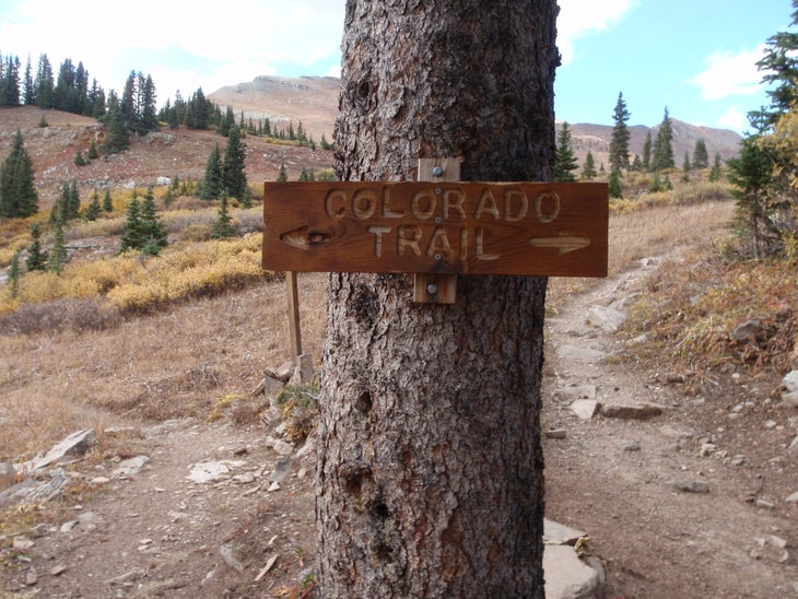 Trail junction sign None