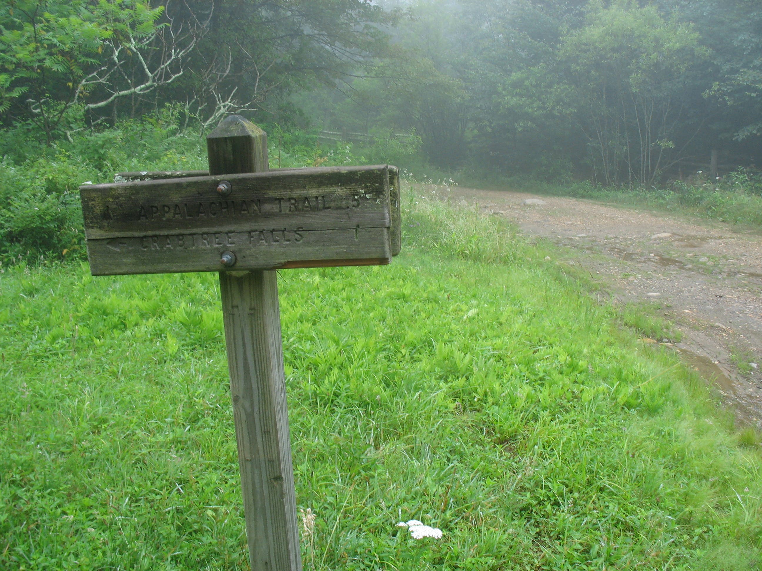 Trail Junction with SR 826 None