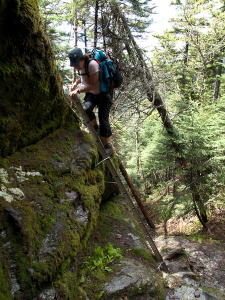 Trail Ladder None