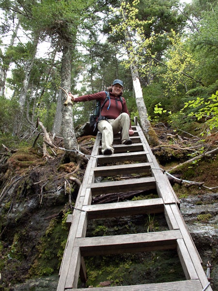 Trail Ladder None