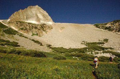 Trail leading to the scree field None