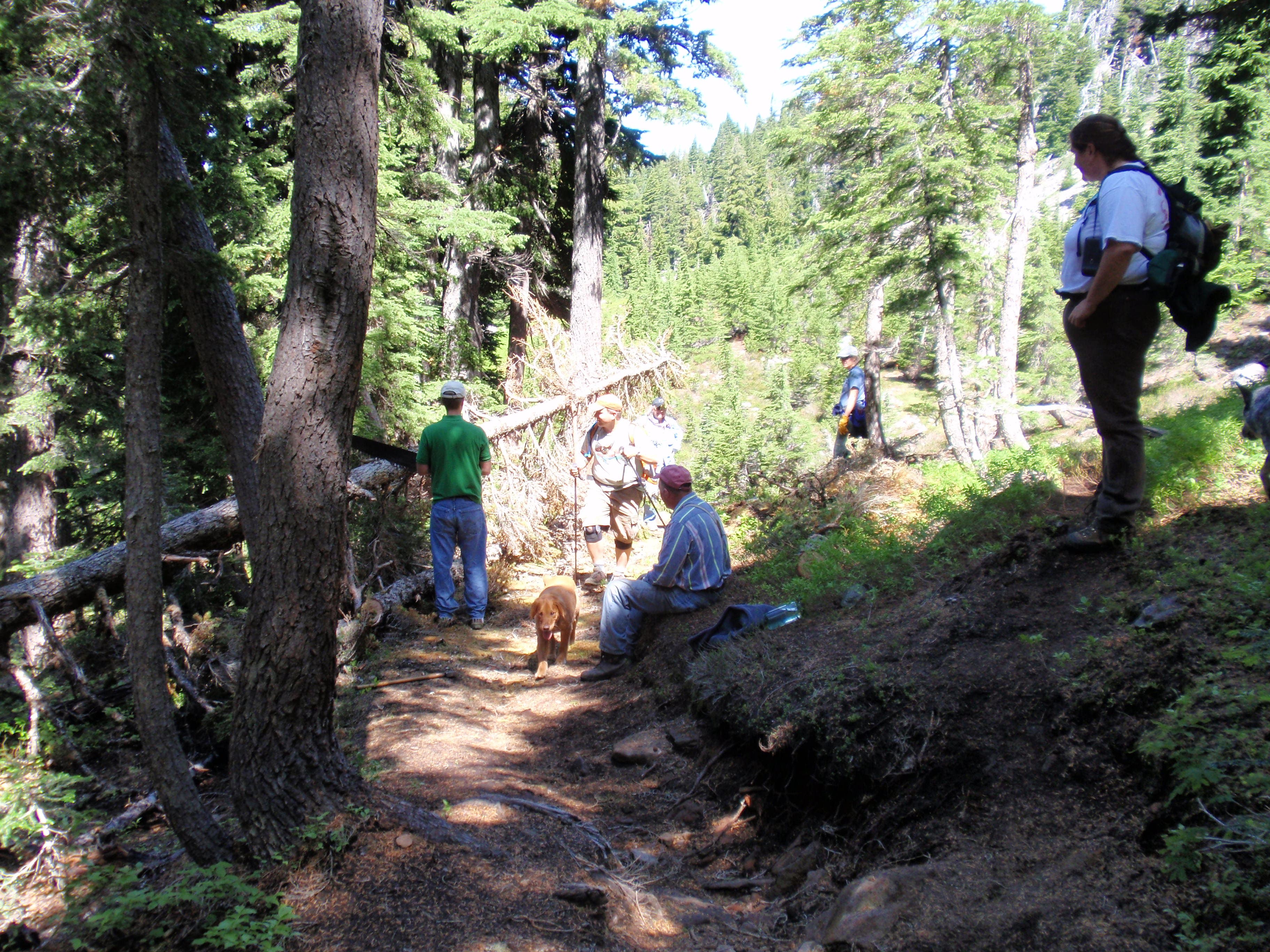 Trail Maintenance None