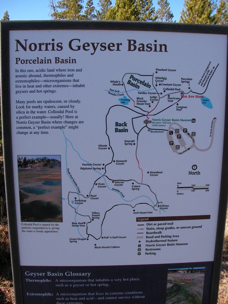 Trail Map None