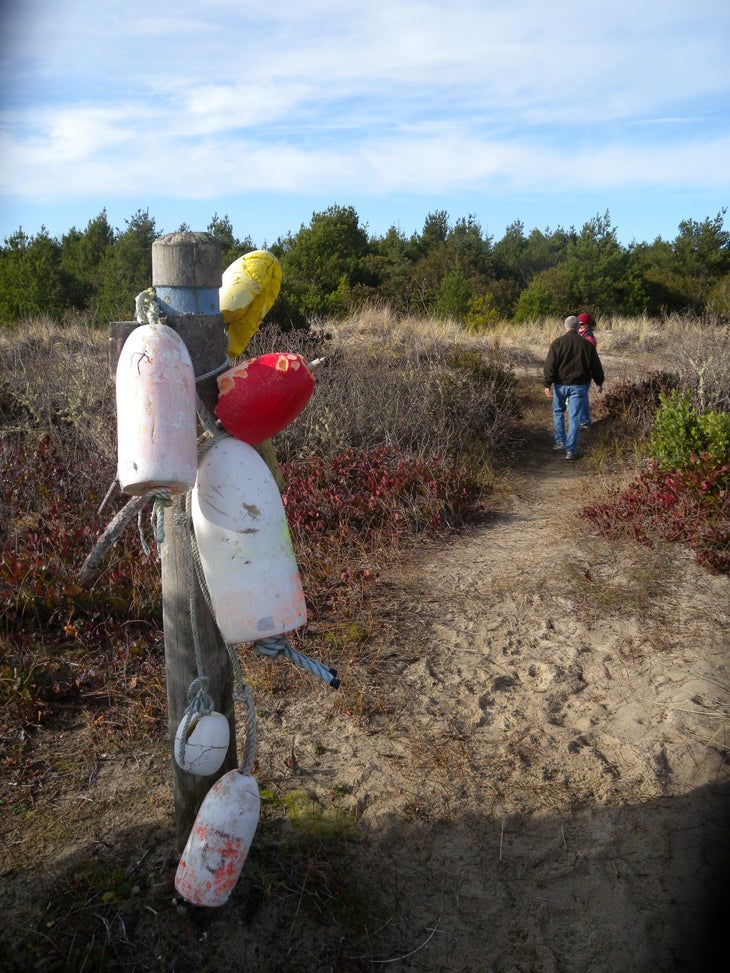 Trail marker None