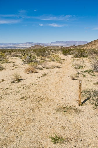 Trail Marker None