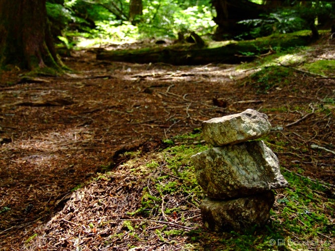 Trail Marker None