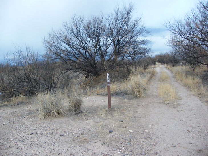 Trail Markers None