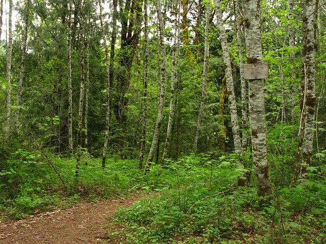 Trail Sign None
