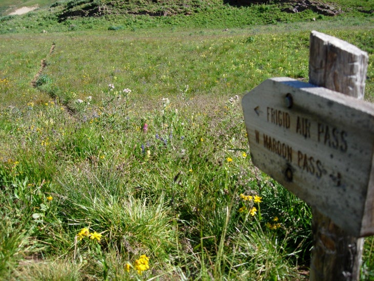 Trail Sign None