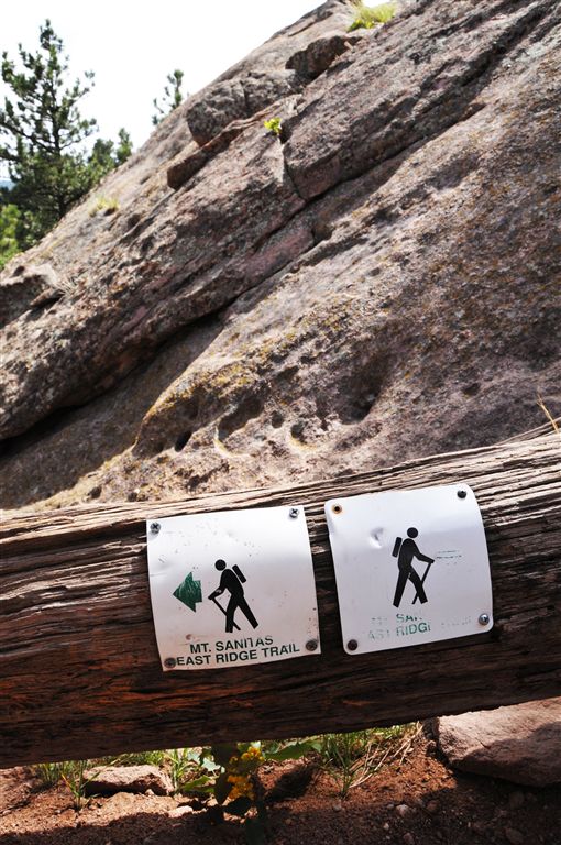 Trail Sign None