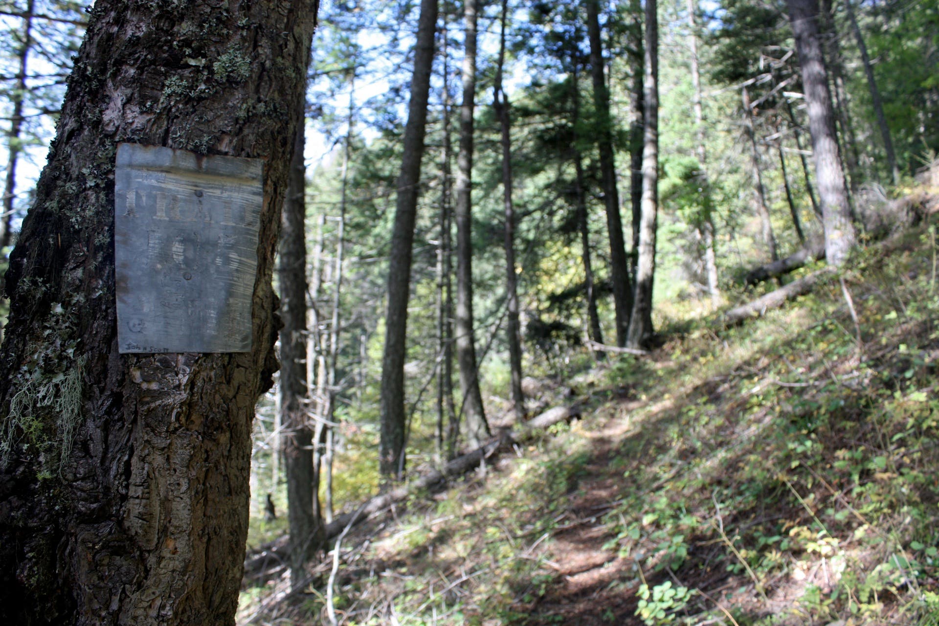 Trail Sign None