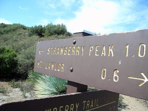 Trail Sign None
