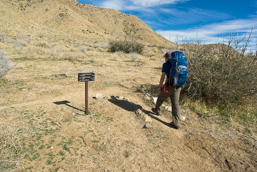 Trail Sign None