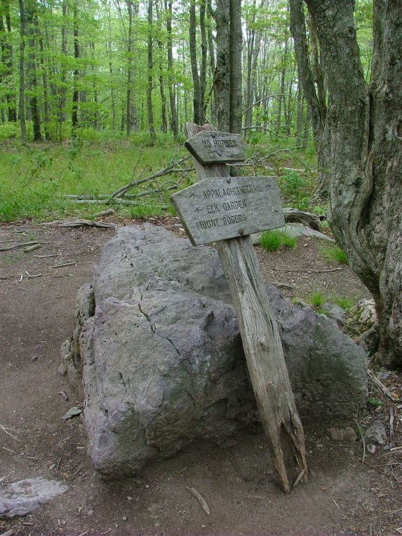 Trail Sign None