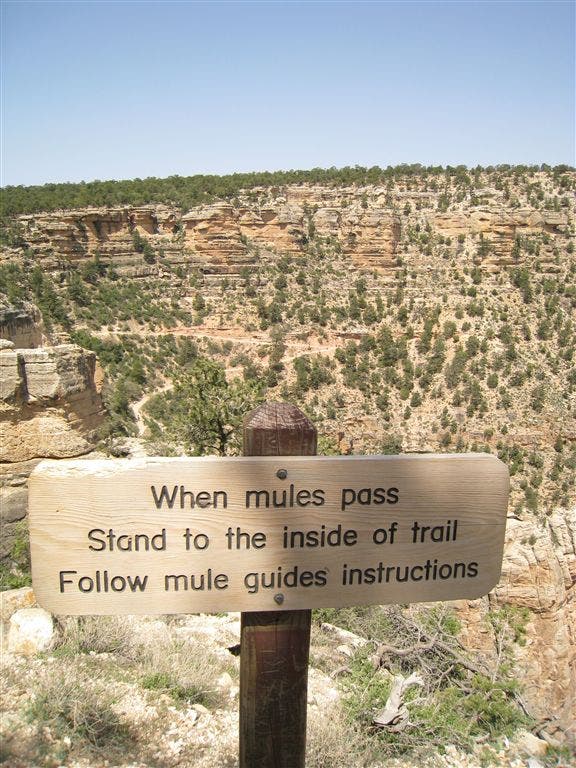 Trail sign along the Flatirons Loop Trail warning of mules and their guides. 