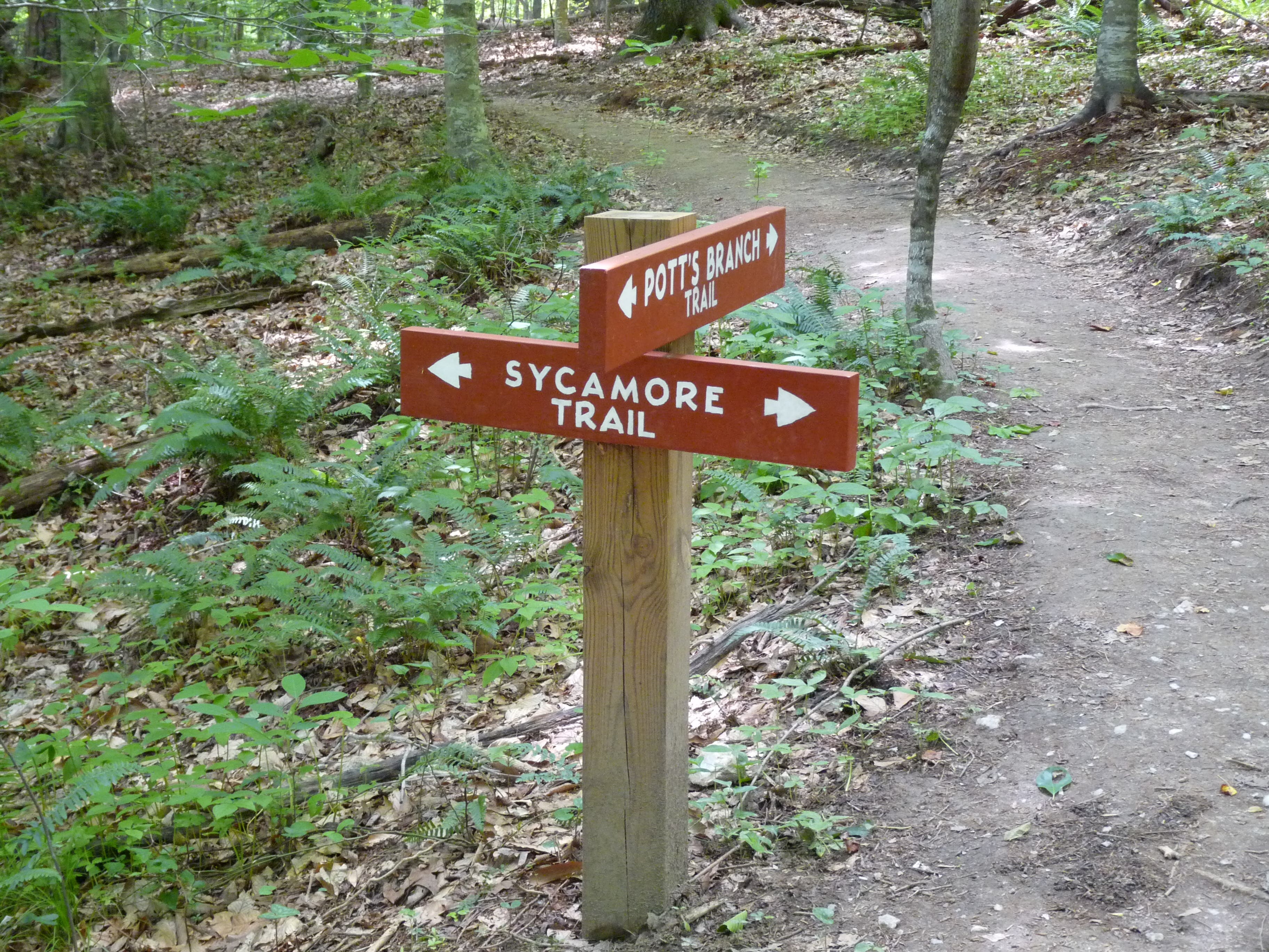 Trail Signs None