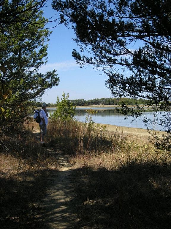 Trail skirts lake None