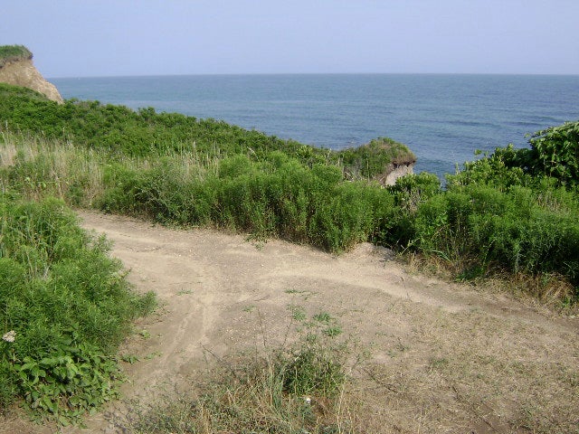 Trail Split None