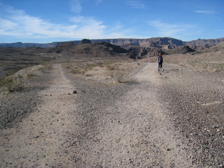 Trail Split None