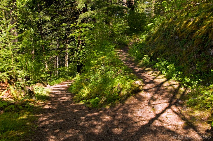 Trail Split None