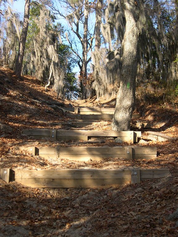 Trail Steps None