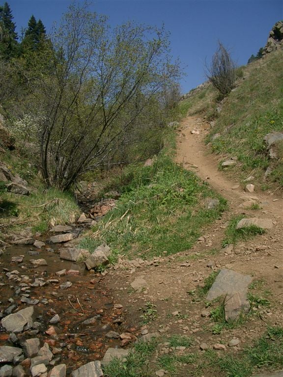 Trail through Apex Gulch None