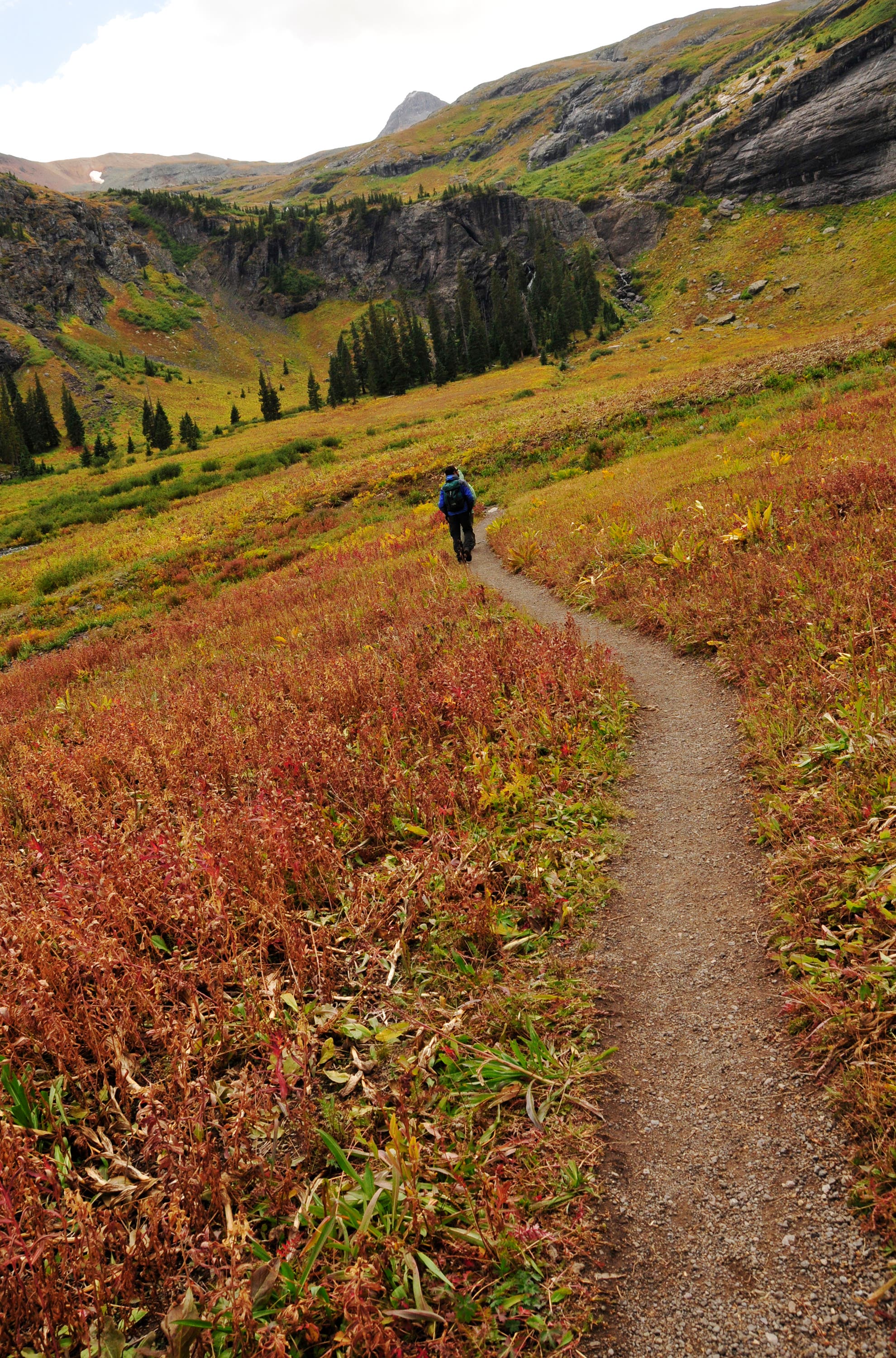 Trail through Lower Ice Lake Basin None