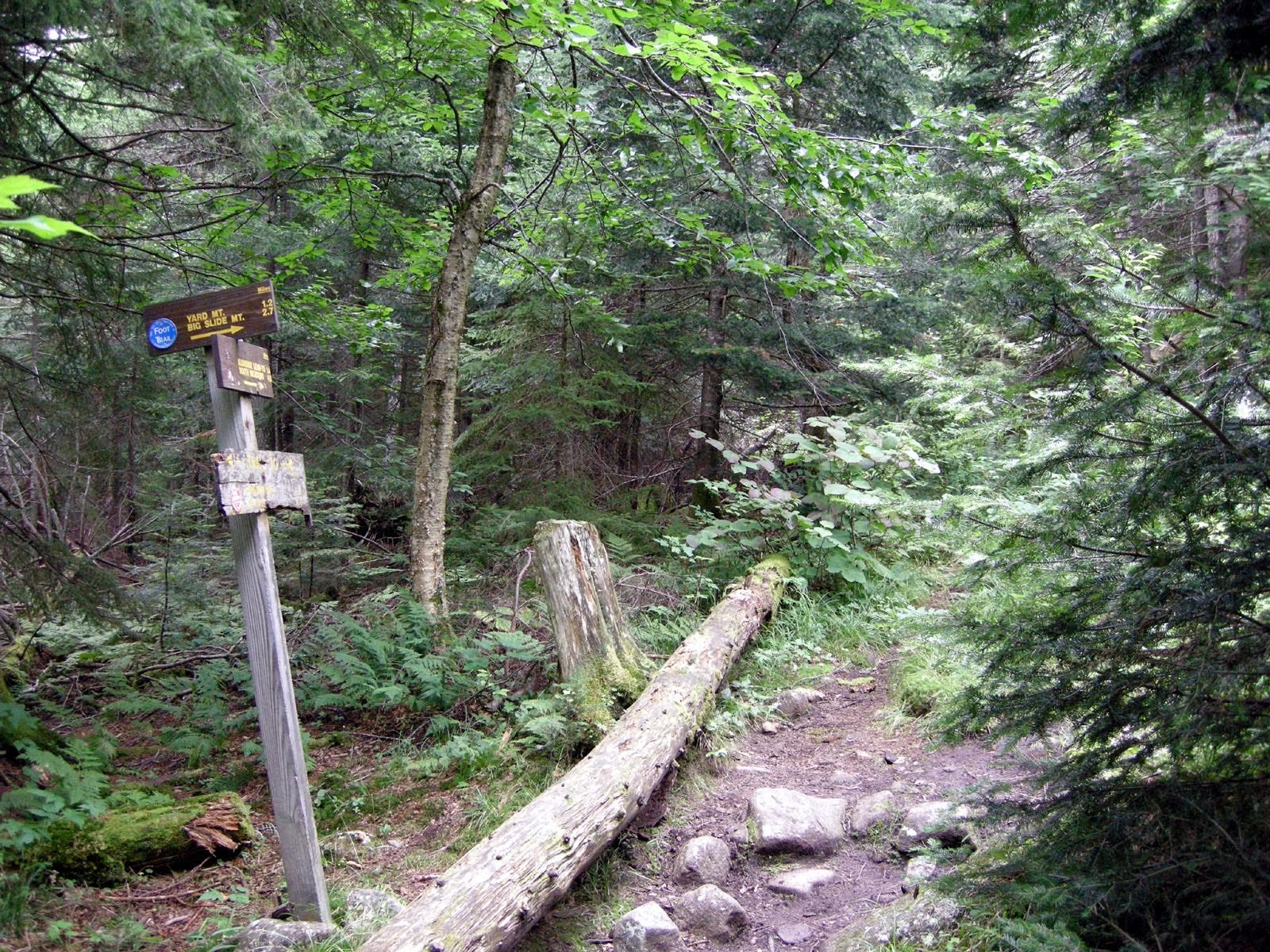 Trail to Big Slide None