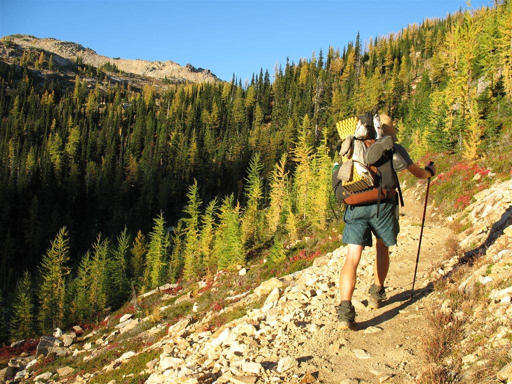 Trail to Cutthroat Pass None