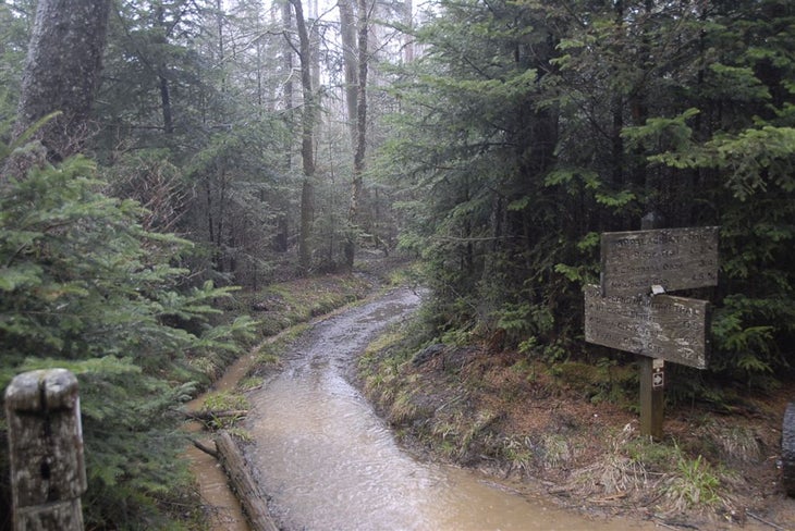Trail to Mount Collins Shelter None