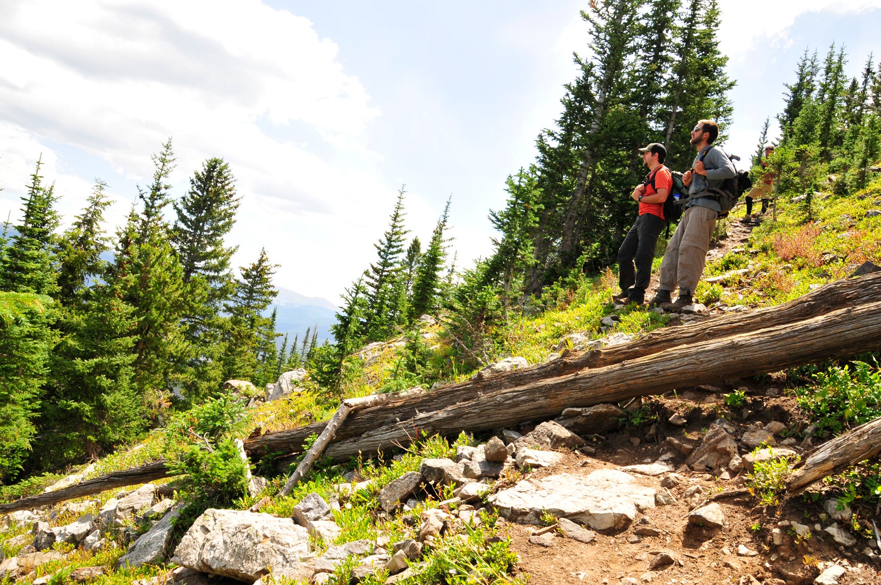 Trail to Peak 1 None