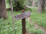 Trail to Spruce Spring None