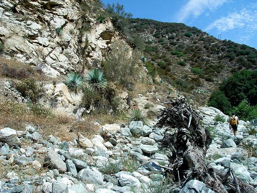 Trail to the ridge None