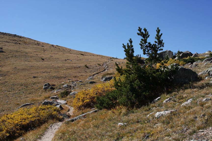 Trail up the mountain None