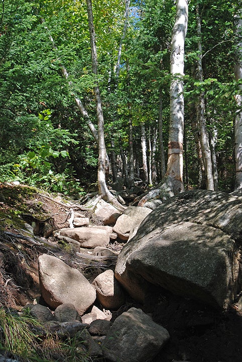 Trail View None