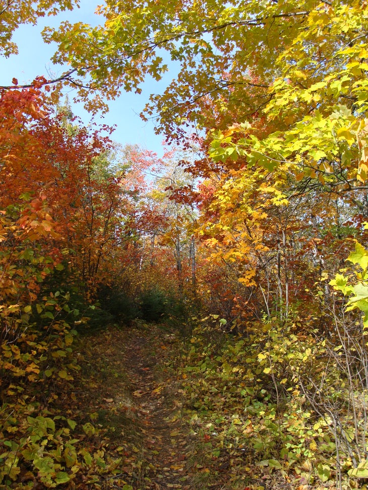 Superior Hiking Trail: Beaver Bay to Gooseberry Falls State Park